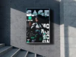 Sage Valorant Poster
